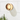 Halo Wall Sconce