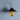 Corbelle Traditional Metal Wall Sconce