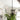 Highcroft Linear Chandelier